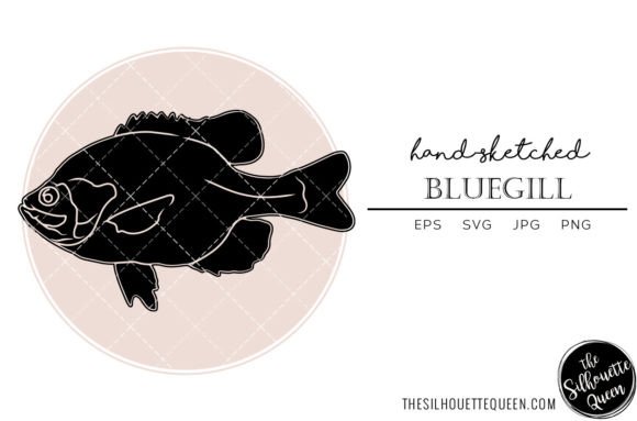 Bluegill Hand Sketched: A Versatile Graphic Asset for Crafts