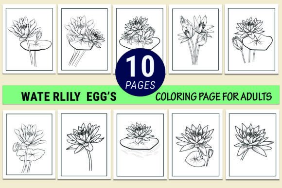 Elevating Editorial Design with the Waterlily Coloring Page Graphic